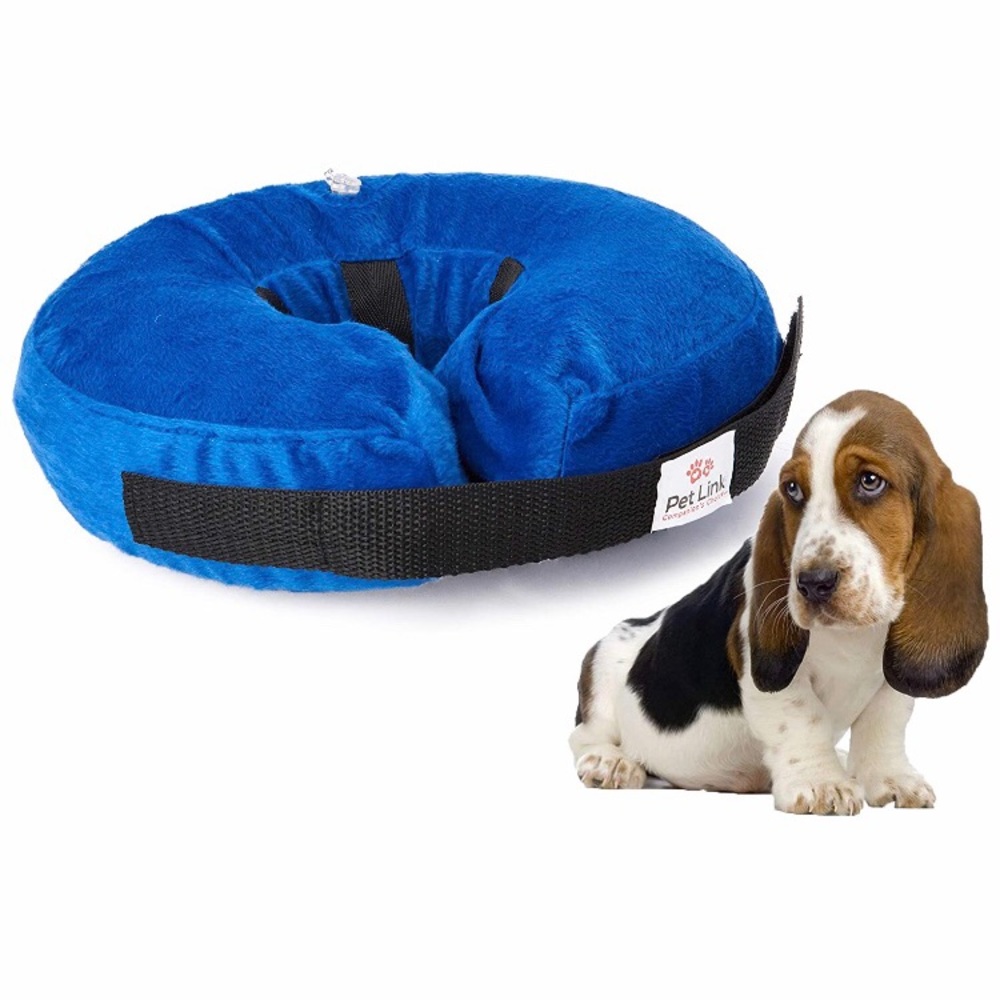 Inflatable Dog Collar Donut after pet surgery
